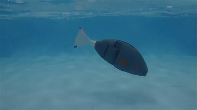 Askeri amaçlı kullanılabilecek 'Robot Balık' üretildi