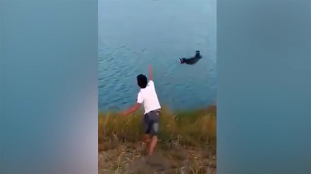 Korkunç görüntüler: Suya attığı yavru köpek timsaha yem oldu