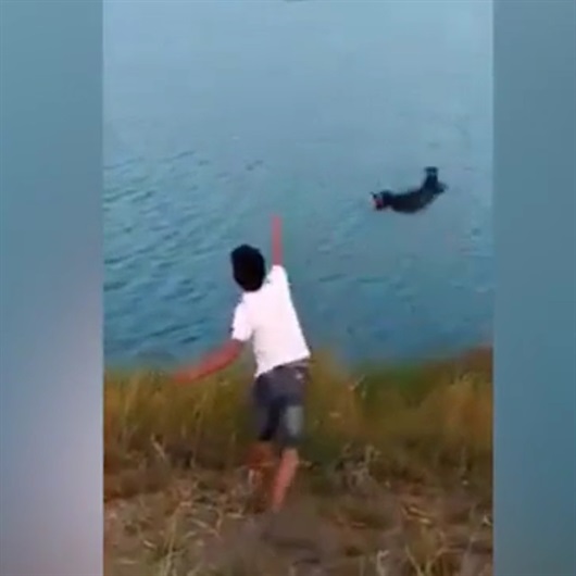 Korkunç görüntüler: Suya attığı yavru köpek timsaha yem oldu
