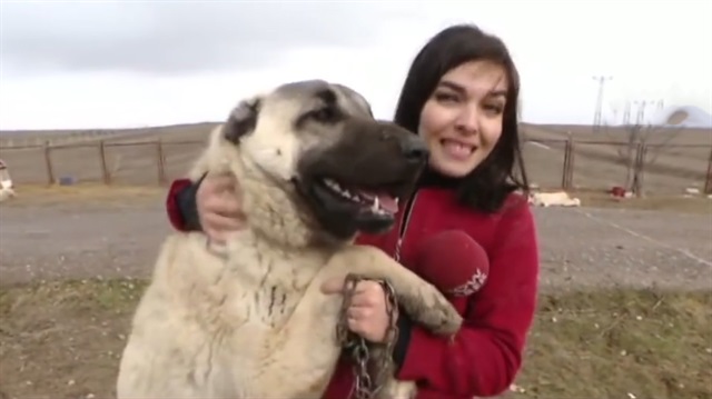 Muhabirin kangalla zor anları