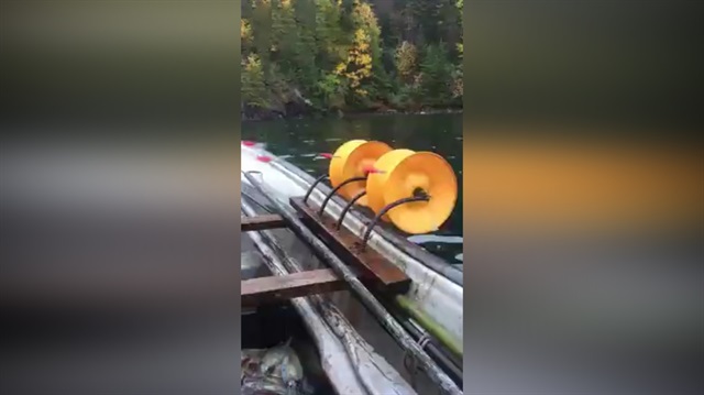 Çok etkili bir balık yakalama yöntemi