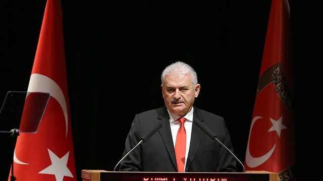 Turkish PM says Operation Olive Branch not limited to ...