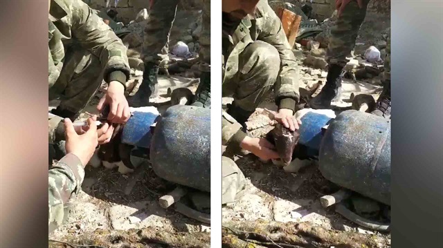 Mehmetçik, teröristlerin zehirlediği hayvanları tedavi ediyor
