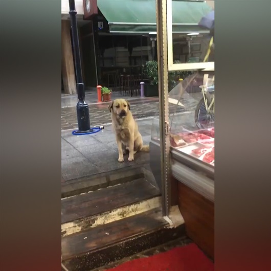 'Helal olsun' dedirten yüreği güzel kasap