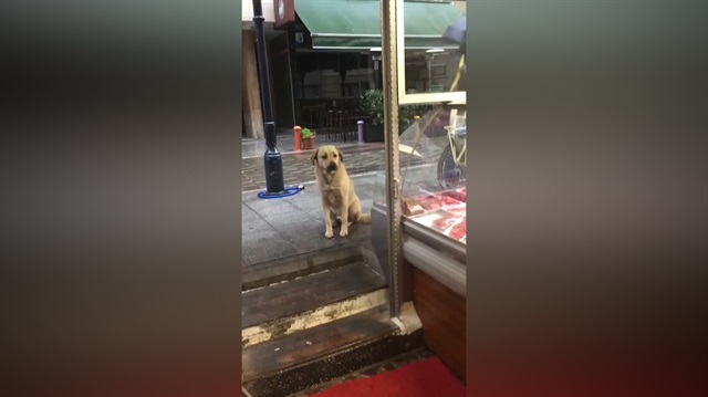 'Helal olsun' dedirten yüreği güzel kasap