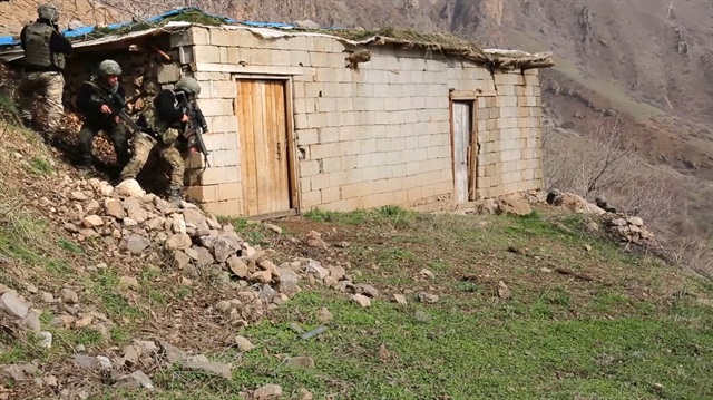 Hakkari'de PKK inlerine bahar operasyonu