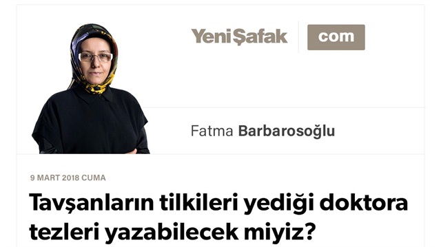 Tavşanların tilkileri yediği doktora tezleri yazabilecek miyiz?