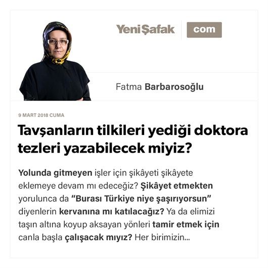Tavşanların tilkileri yediği doktora tezleri yazabilecek miyiz?