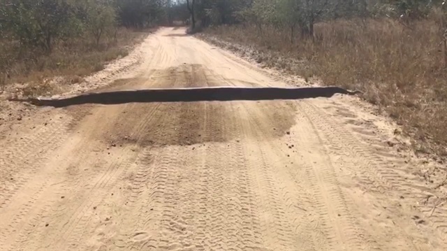 Kasis sandı arabadan inince şoke oldu!