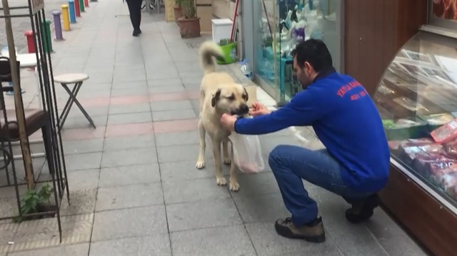 Güzel yürekli kasapla sokak köpeğinin dostluğu