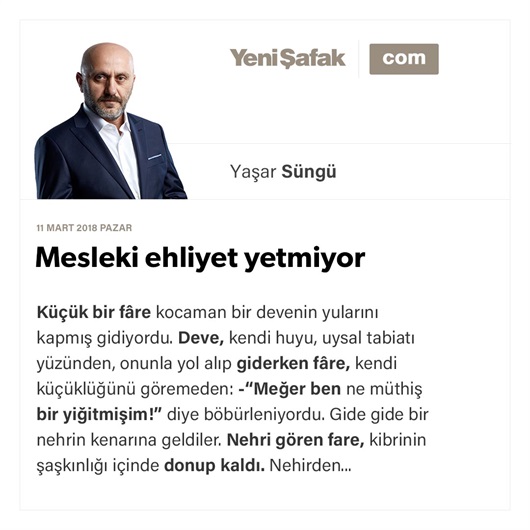 Mesleki ehliyet yetmiyor