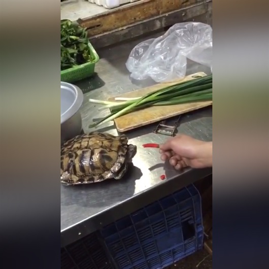 Böyle insanlık olmaz olsun!