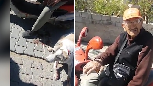 Zavallı köpeği kilometrelerce sürüklerken yakalanan cani