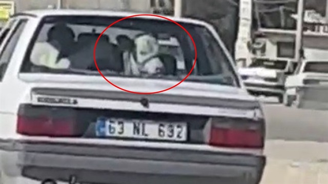 Arka koltukta yolculuk eden inek hayrete düşürdü