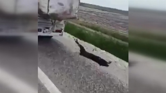 Bu vicdansızlara kim dur diyecek!