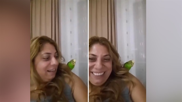 Sahibine, 'çok konuşma da kalk bir çay koy' diyen muhabbet kuşu