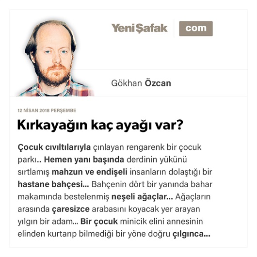 Kırkayağın kaç ayağı var?