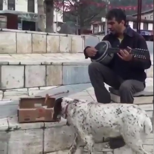 Köpek, sokak sanatçısının parasına göz koyarsa...