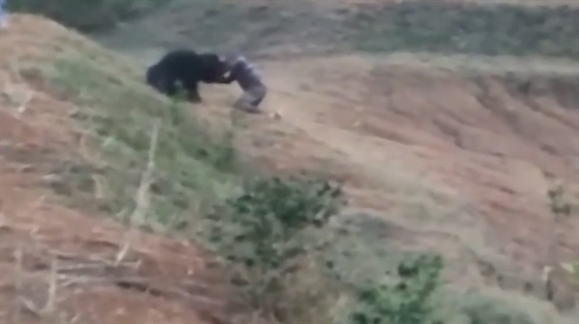 Ayının korkunç saldırısı kamerada!