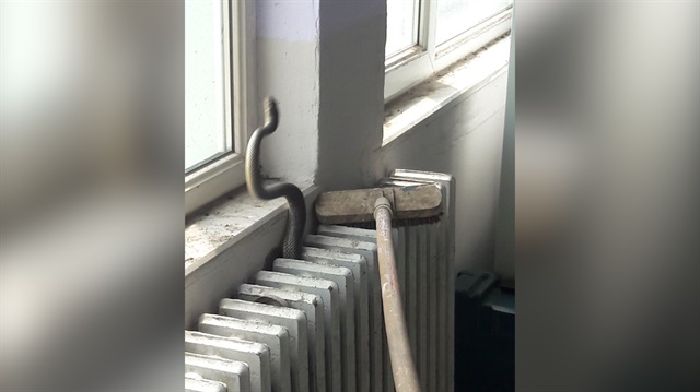 Sınıfta kalorifer peteğine giren yılanı itfaiye çıkardı
