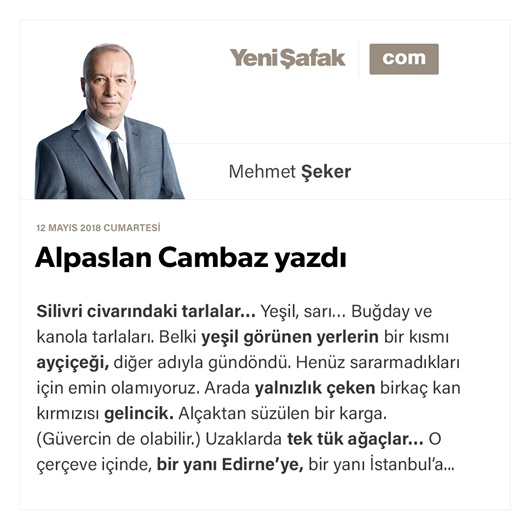Alpaslan Cambaz yazdı