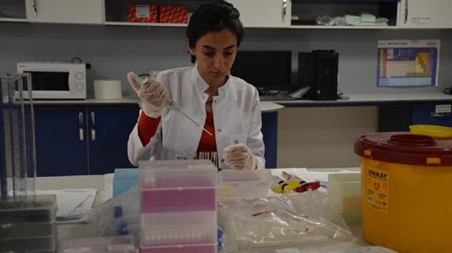 Karaciğer hastalarına nakil için farklı canlı türlerine yönelik araştırmalar yapılıyor.