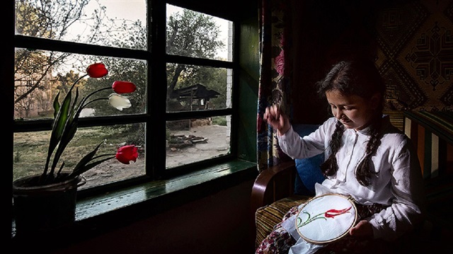 En güzel lale yarışmasında Ahmet Mücen 'Lale Nakış' fotoğrafıyla birinci oldu.