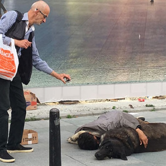 Köpeğe sarılıp uyuya kaldı