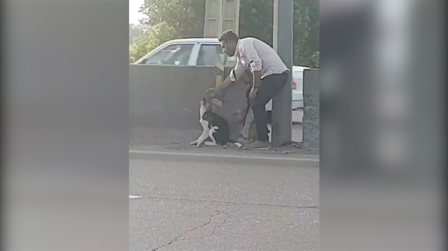 Kendi canını hiçe sayıp köpeği kurtaran koca yürekli adam