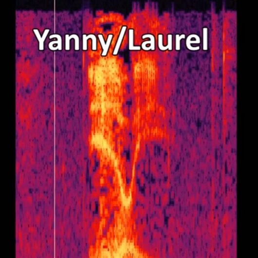 Yanny-Laurel ses kaydının sahibi bulundu