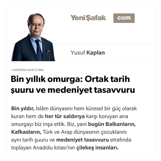 Bin yıllık omurga: Ortak tarih şuuru ve medeniyet tasavvuru
