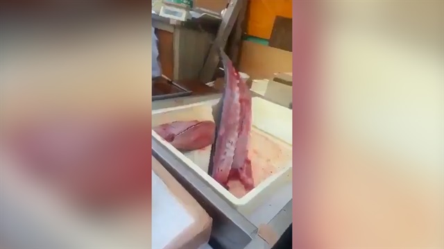 Ortadan ikiye ayrılan balık görenleri şaşkına çevirdi