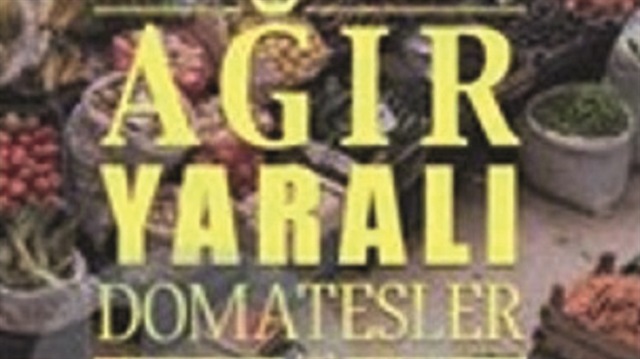 Ağır Yaralı Domatesler, Yahya Arslan’ın ilk hikâye kitabı.