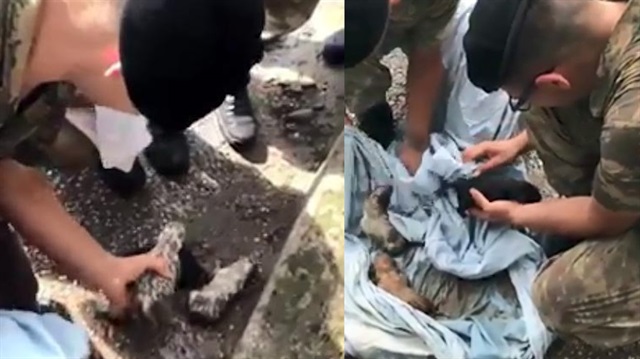 Boğulmak üzere olan köpek yavrularının imdadına Mehmetçik yetişti