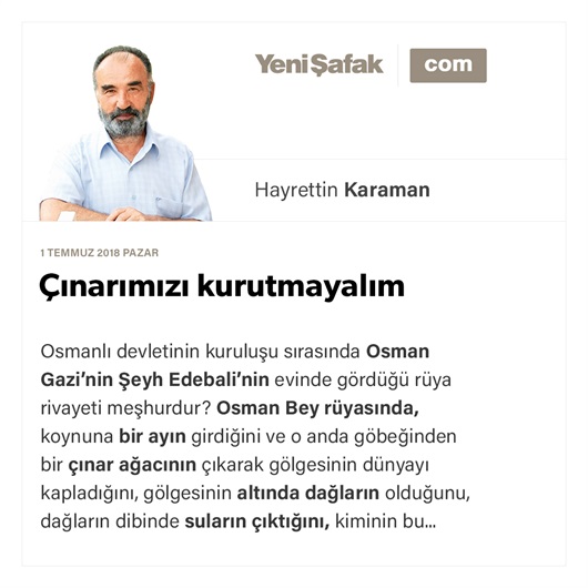 Çınarımızı kurutmayalım