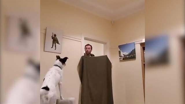 Köpeklerin kaybolma numarasıyla imtihanı