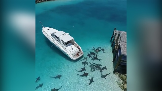 Bu plajda denize girmek yürek ister!