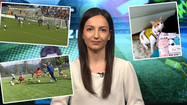 Bunu Gördünüz Mü? - Gol diye bağıran kedi