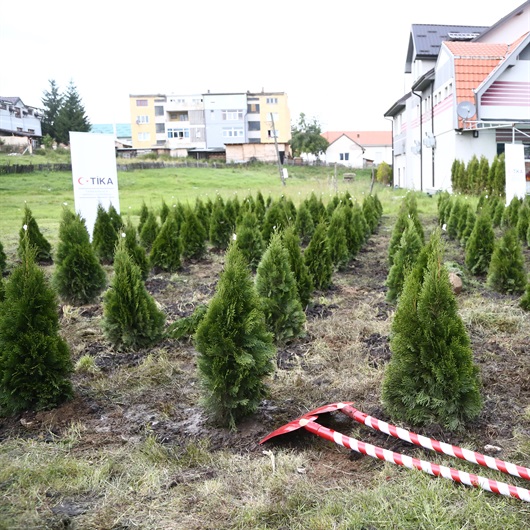 Sancaklı Müslümanlar 15 Temmuz şehitleri için 251 fidan dikti