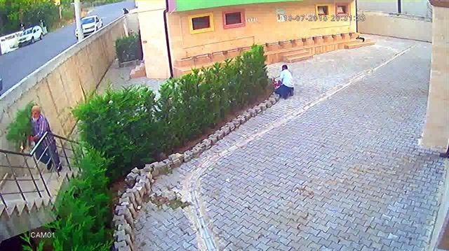 Cemaat namazdayken 12 dakikada 31 çam ağacını kestiler.