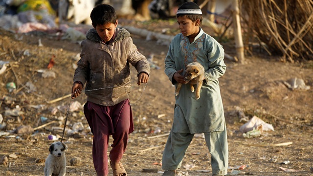 Children play with puppies at an Afghan refugee camp