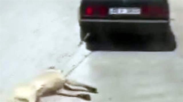 Muğla’nın Seydikemer ilçesinde, seyir halindeki aracın arkasına bağlanan ve sürüklenen köpek videosu sosyal medyada yer alınca büyük tepki çekti.