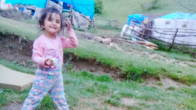 Küçük Evrim'i arama çalışmaları devam ediyor.