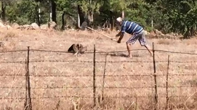 Şahin, kürekli saldırının ardından ölmüştü.