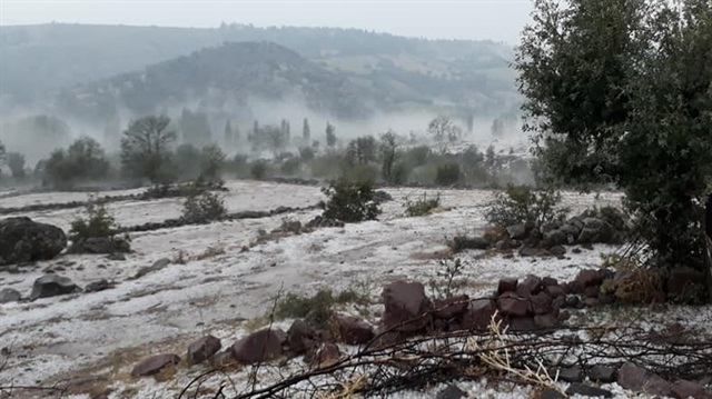 Manisa'da sağanak yağmur ve dolu tarım arazilerine zarar verdi.