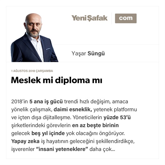 Meslek mi diploma mı