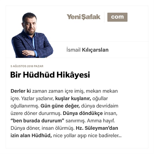 Bir Hüdhüd hikâyesi
