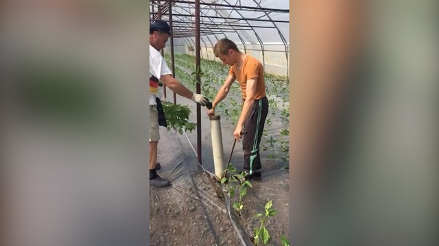 Fidan dikme işinde çığır açan adam