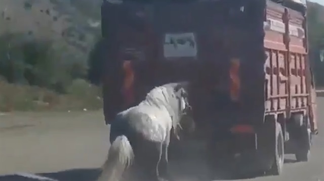 Zavallı ata yapılan akılalmaz zulüm