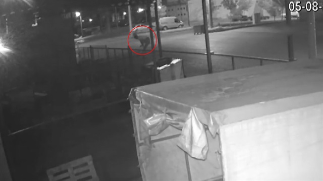 Hırsızlar bekçi köpeğini çaldı